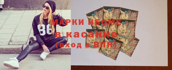 дурь Инта