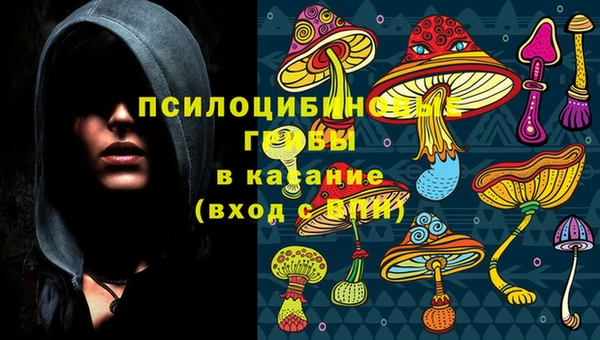 дурь Инта