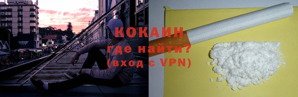 дурь Инта