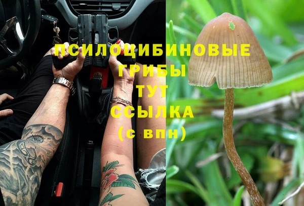 ALPHA PVP Иннополис