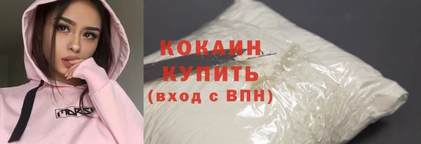 дурь Инта