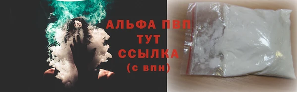 дурь Инта