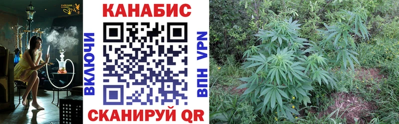 Конопля гибрид  Южно-Сахалинск 